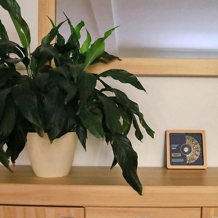 Apartmany Na Sumave Касперске Хори Екстериор снимка